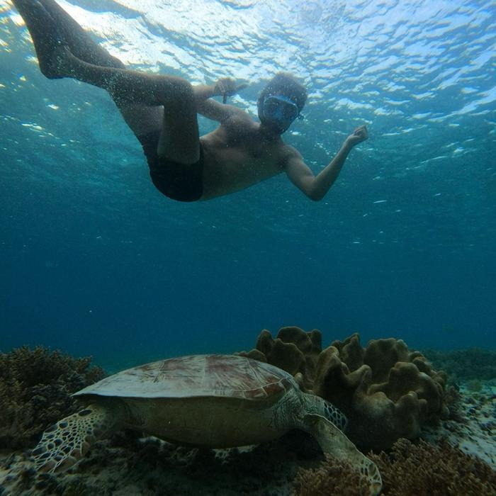 Snorkeling di Gili Trawangan sudah termasuk alat renang dan boat