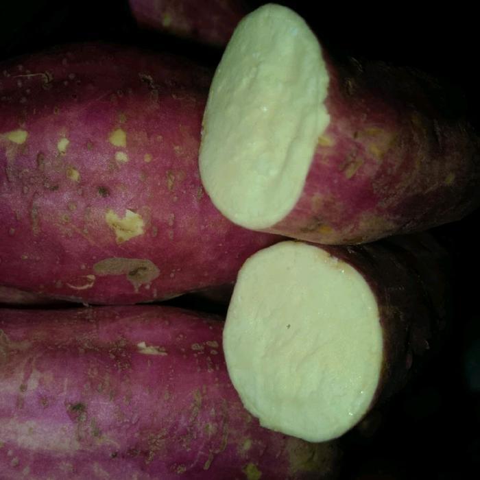 Ubi Jepang Pink Luar Dalem Putih 1000Gram