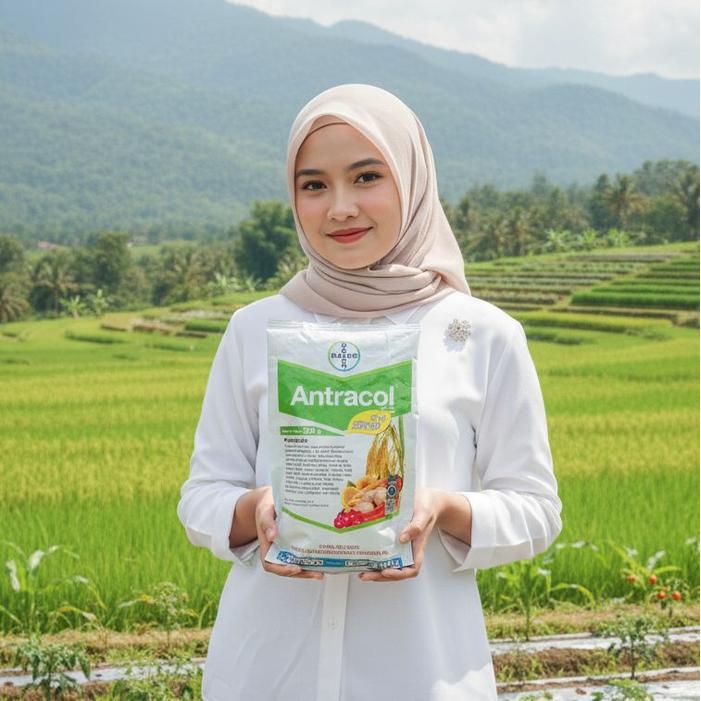 ` Fungisida ANTRACOL Kontak bahan aktif Propineb 70%