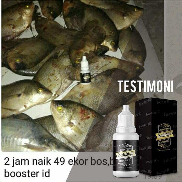 BISA COD Umpan Mancing Essen Katilayu Booster Id Original 5ml - Nusantara Art Indonesia