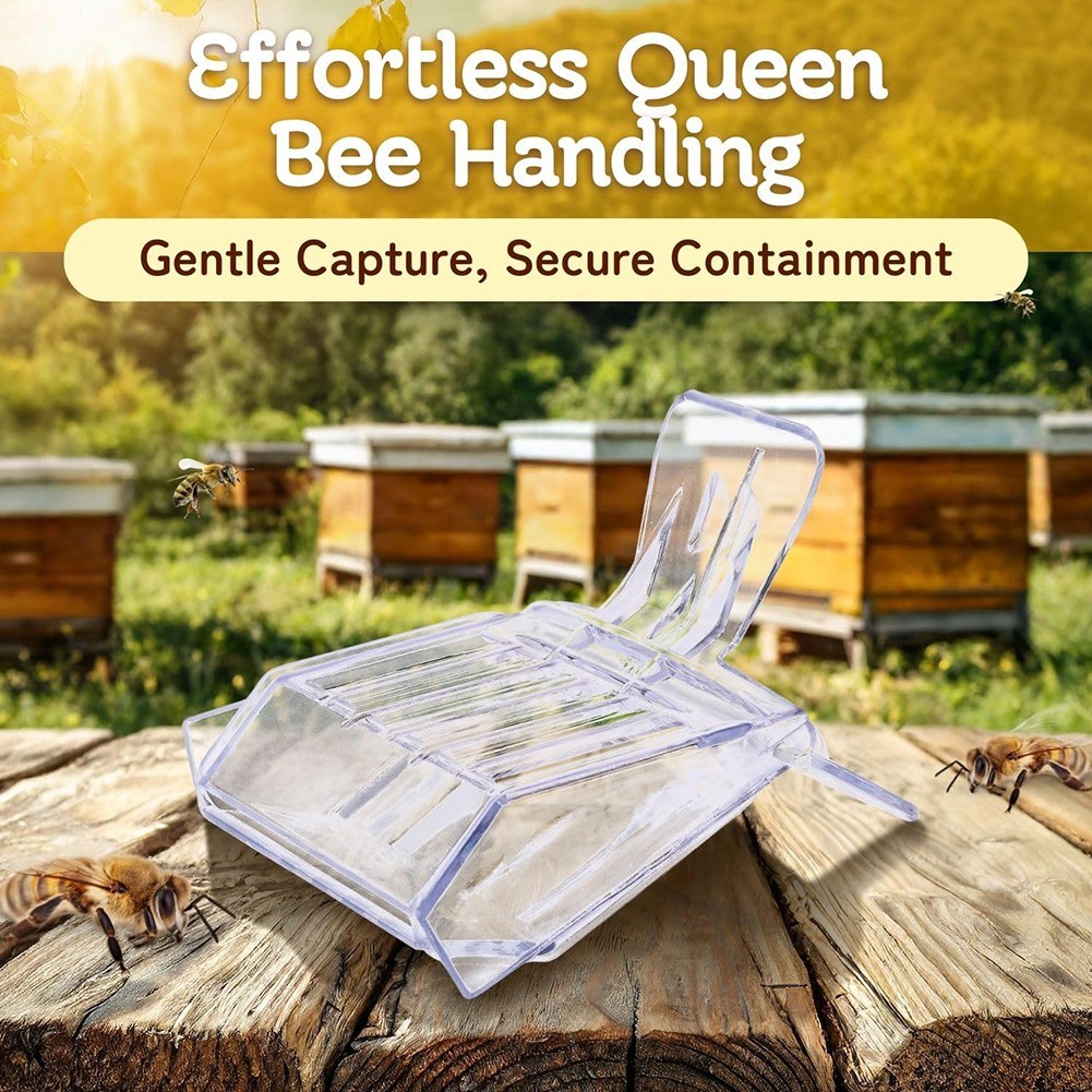 Beekeeping Transparent Clips Queen Bee Clip Queen Bee Cage Catcher Queen Bee Clips For Bees