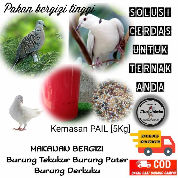 makanan derkuku/tekukur/puter pelung/perkutut
