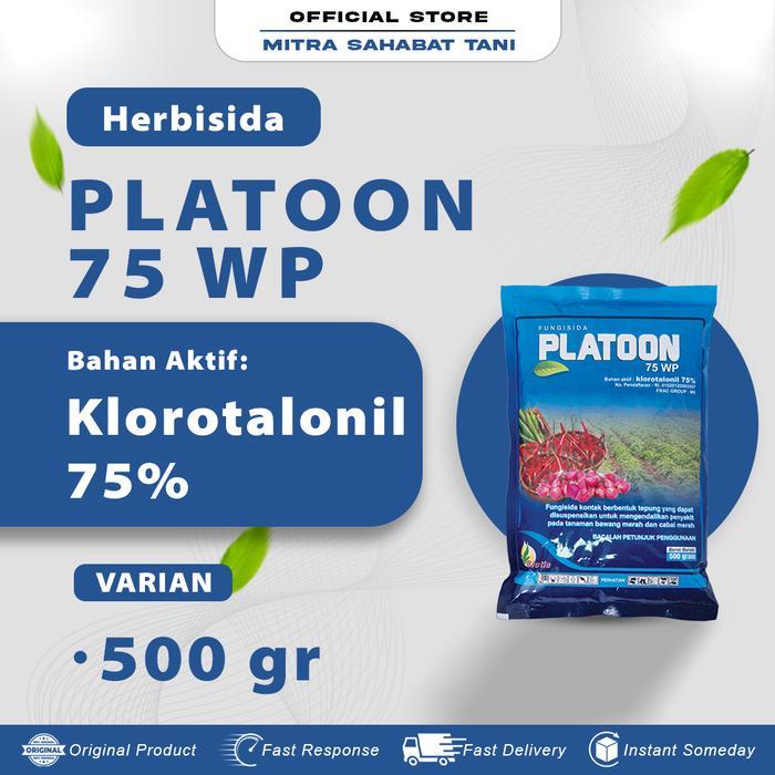` Fungisida Pengendali Bercak Daun, Bercak Ungu, Antraknosa tanaman terong, cabe, bawang merah