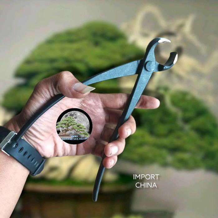 catok/krekut bonsai cembung MSW Hitam 21cm