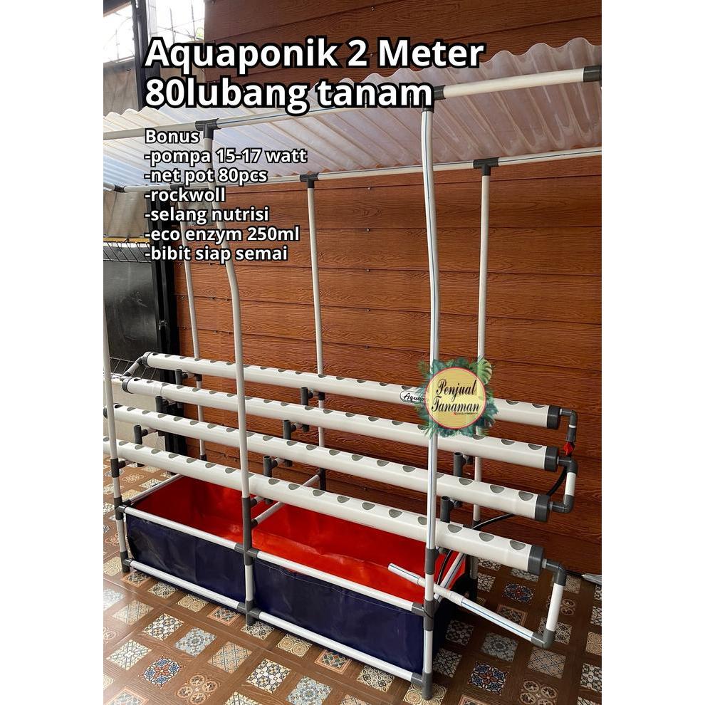Set Aquaponik Hidroponik 2 Meter Sistem DFT dengan Atap 80 Lubang Tanam