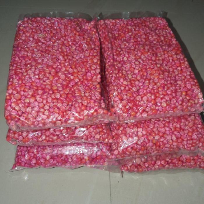 Merayakansenja 1 Kg Benih Jagung Siap Tanam Perkasa,Sumo,212, P27, P21,18,Jago Ar Garden Seed
