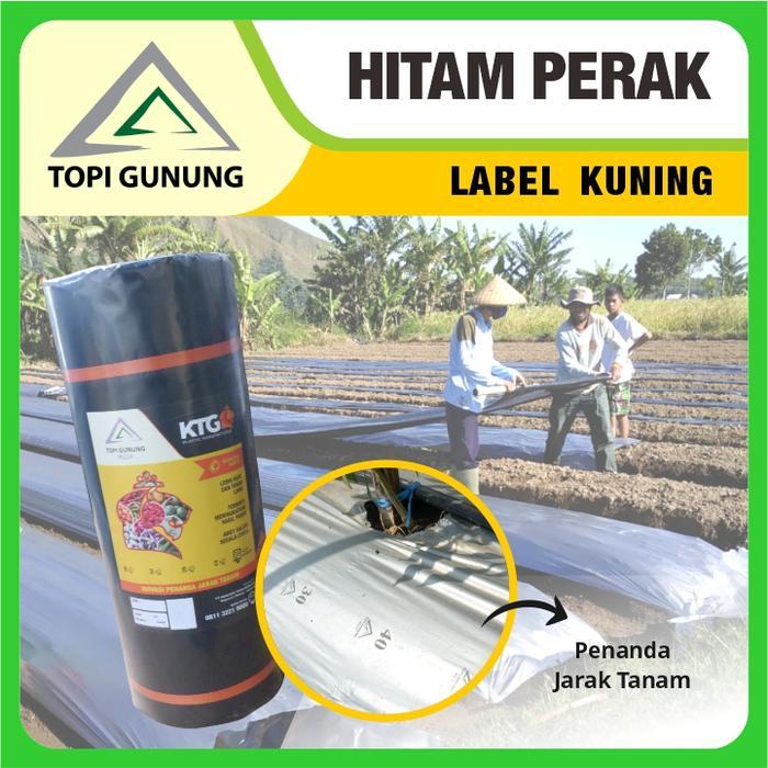 Mulsa Topi Gunung Ktg Label Kuning Besar 17 Kg Diskon Sell