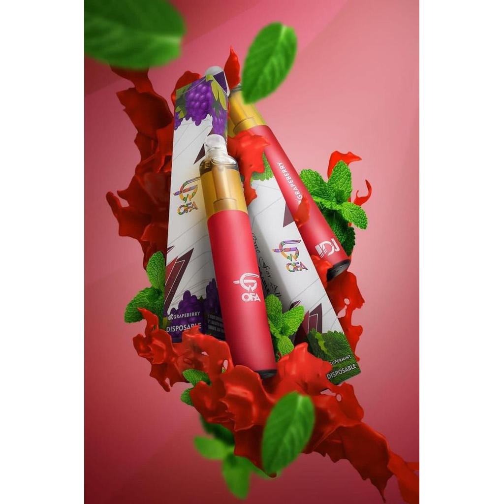 Terlaris OFA DISPOSABLE POD Supermint & Grapeberry 2PCS/1PACK By Ofa Ecig X IDJ SALE