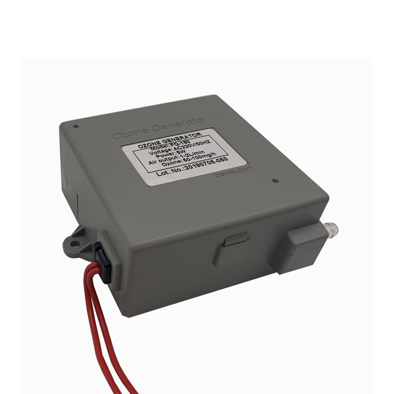 100MG Ozone Water Purifier Ozone Generator Parts Ozone Disinfection For Drinking Water ND-101MG