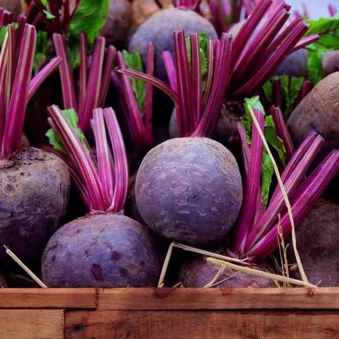 BUAH BIT MERAH BIBIT TANAMAN BEET ROOT RED SEGAR ATV
