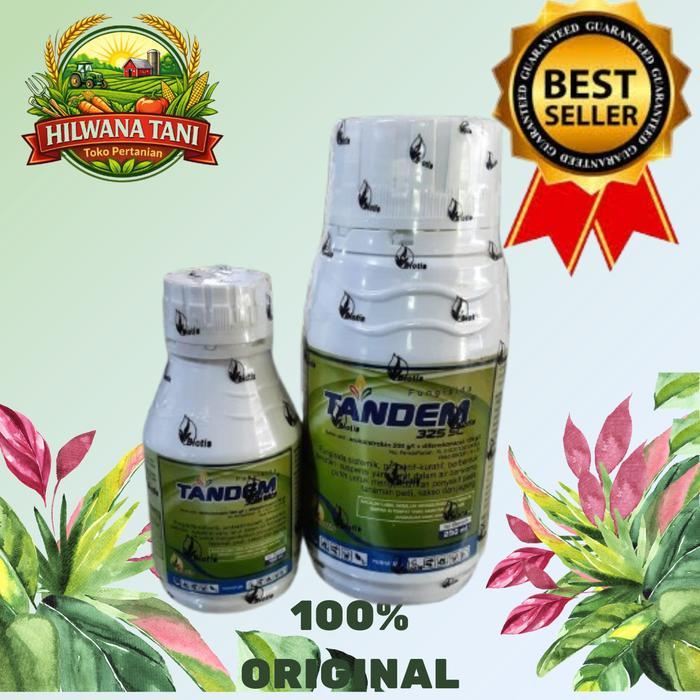 ` Tandem 325 SC fungisida sistemik, kuratif, dan protektif