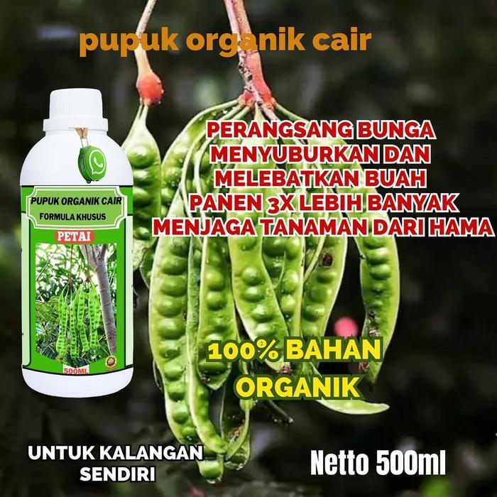 Pupuk Petai Booster Pupuk Buah Petai Pupuk Penyubur Buah Petai Cepat Berbuah Petai Pete