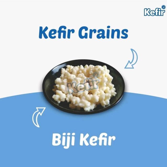 Kefir Grains / Bibit Kefir Asli Original Grade A, Kefir Grains Hidup Bisa Digunakan Selamanya, 10Gr,
