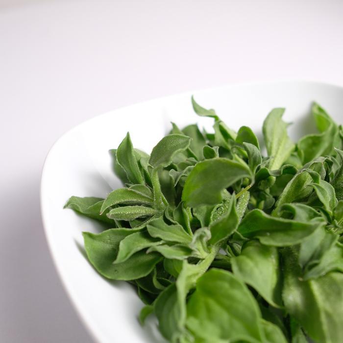 READYY Crystal Ice Lettuce Sayuran Segar