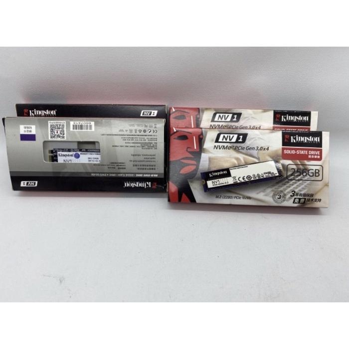 TERLARIS SSD KINGSTON M2 NVME 256GB