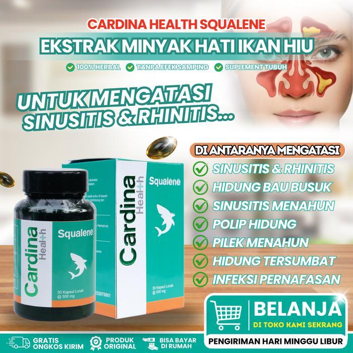 Sinusitis Hidung, Sinusitis Hidung Bau Busuk, Sinusitis Menahun, Pilek Menahun, Polip Hidung, Hidung
