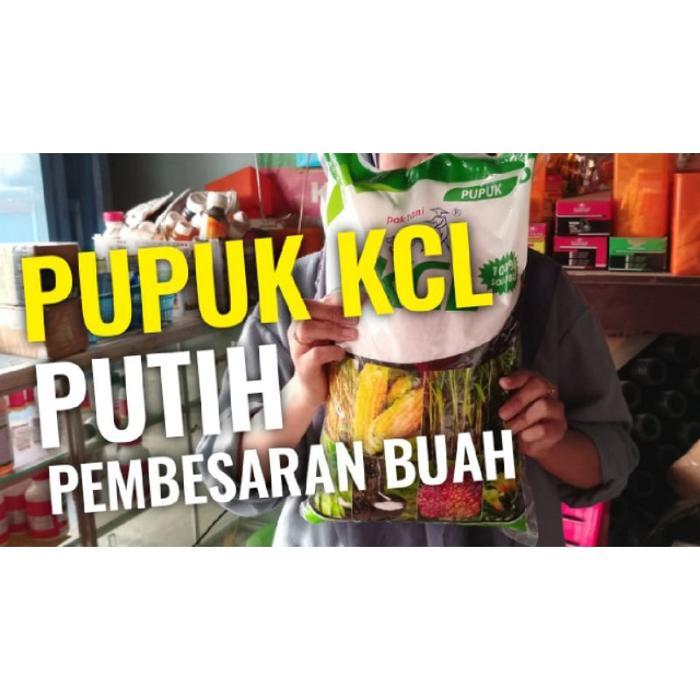 PUPUK BUAH KCL PUTIH PAK TANI