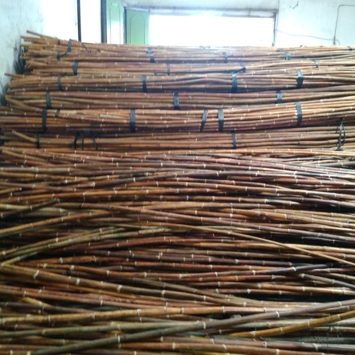 Toya Rotan Kulit Asli Diameter 4 cm Panjang 180 cm Bentuk Bulat
