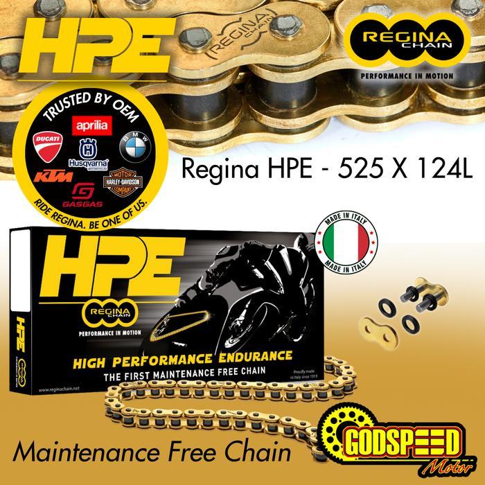 RANTAI REGINA 525 124 HPE Z RING Z-RING GOLD ZX10R H2R R6 CBR600 R1 R1M GSXR AFRICA TWIN F900 F850