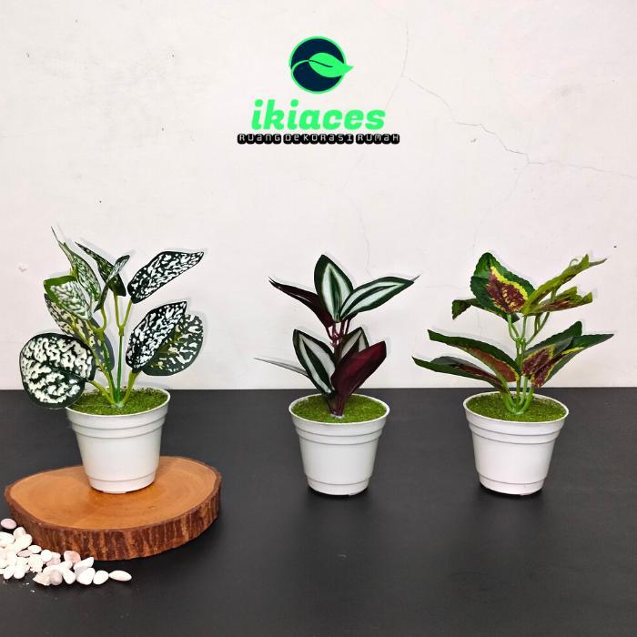 NEW DAUN KELADI HIAS DAUN PLASTIK BUNGA KELADI ARTIFICIAL BUNGA DEKORASI