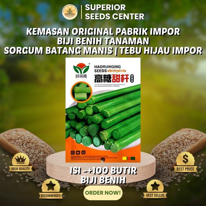 100 Butir Biji Benih Sorgum Batang Manis untuk Pakan Ternak dan Kebun Hijau