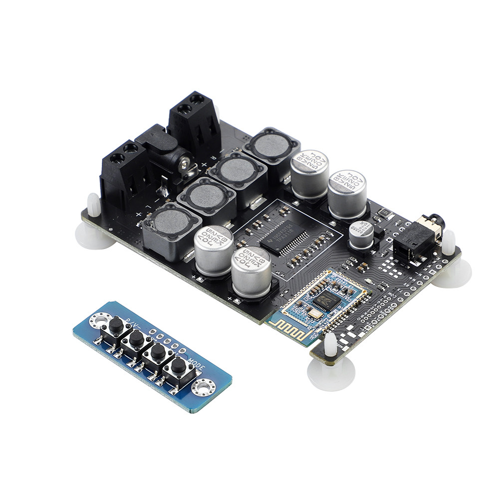 AIYIMA 2 Inch Audio Portable 25W Resonance Vibration Speaker TPA3118 Bluetooth 5.0 Amplifier Sound