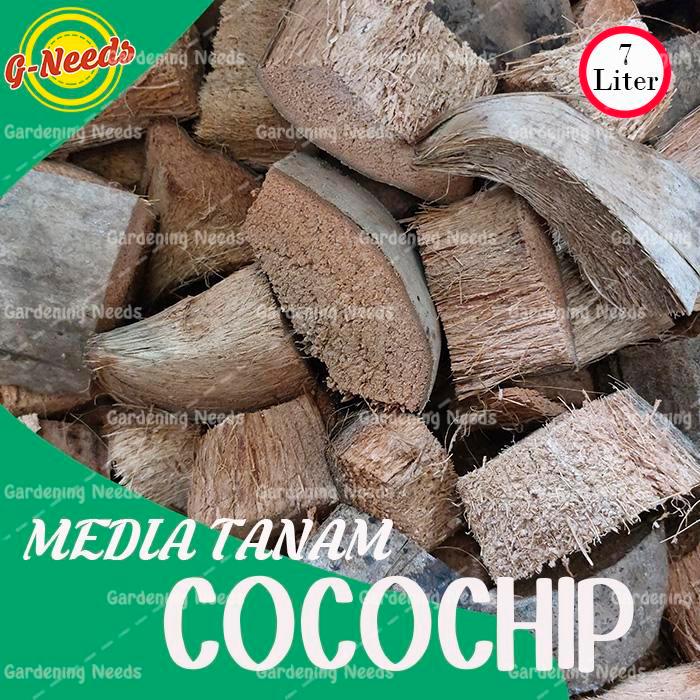 Media Tanam Anggrek Cocochip / Coco Chip / Sabut Kelapa