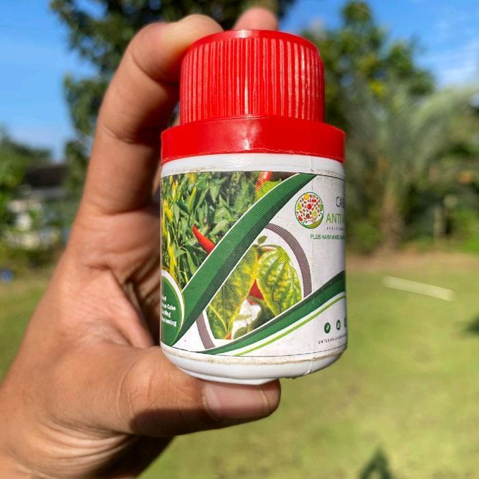 Josjismatt_ Pupuk Cabai Obat Anti Kriting Kuning Daun Obat Bulai Cabai - Nutrisi Cabe Pupuk Cabe