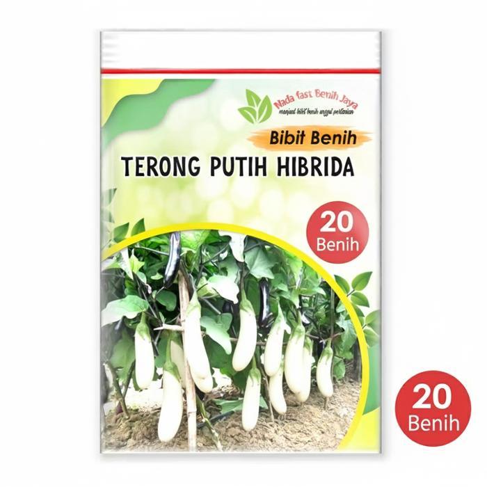 Benih Terong Putih Hibrida 20 Biji, Sayuran Buah Besar Kulit Putih, Kemasan Klip Plastik