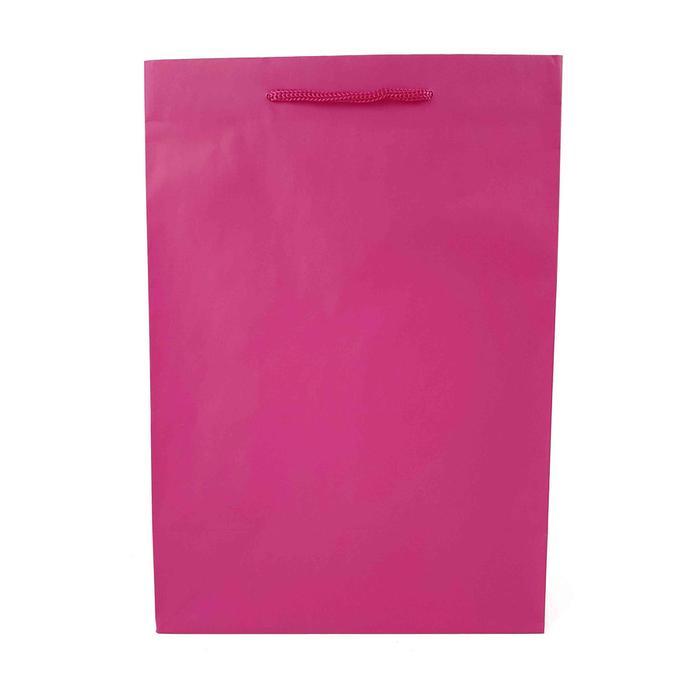 PAPER BAG POLOS/ PAPER BAG WARNA/ PAPER BAG MEDIUM/ BA2332G - Hot Pink