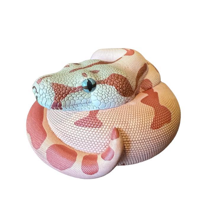 HOT SALE FIGURE ANIMAL BOA CONSTRICTOR IMPERATOR RESIN ANIMAL HEAVENLY BODY TERMURAH