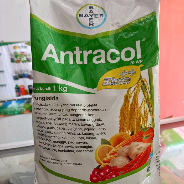 ` Antracol 70WP 1 Kg Fungisida Kontak