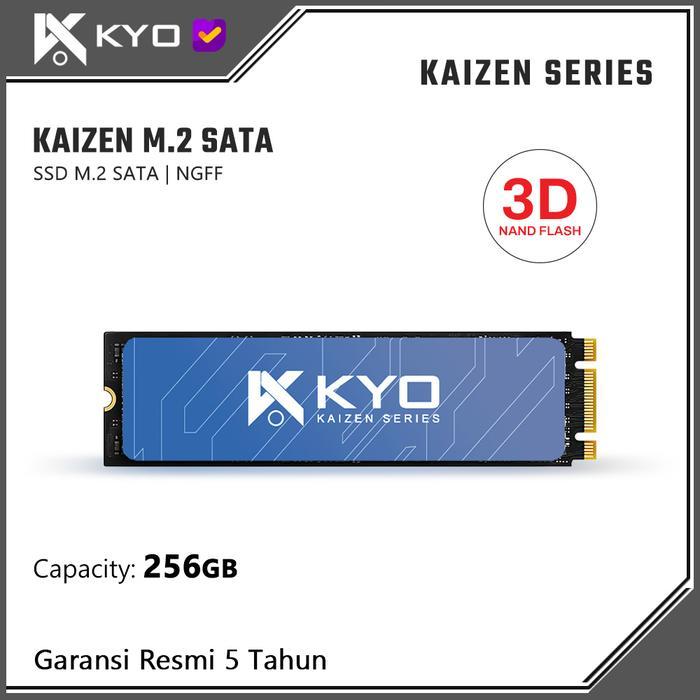 TERLARIS SSD KYO KAIZEN M.2 SATA 256GB 2280 SSD M2 SATA