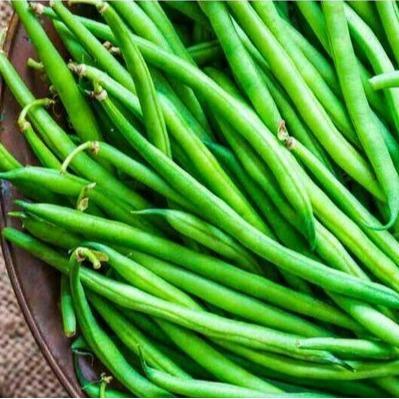 Merayakansenja Benih Buncis Patih 100 Gr Unggul Ori Cap Mmt