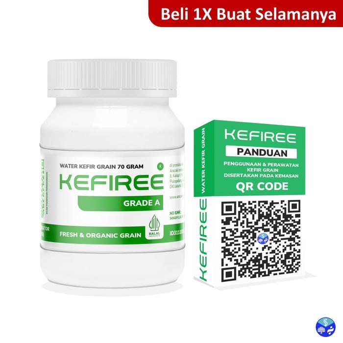 Kefiree Water Kefir Grain Alga Kristal Alga Jepang Tibicos Bibit Water Kefir Grade A 70 Gram Fresh