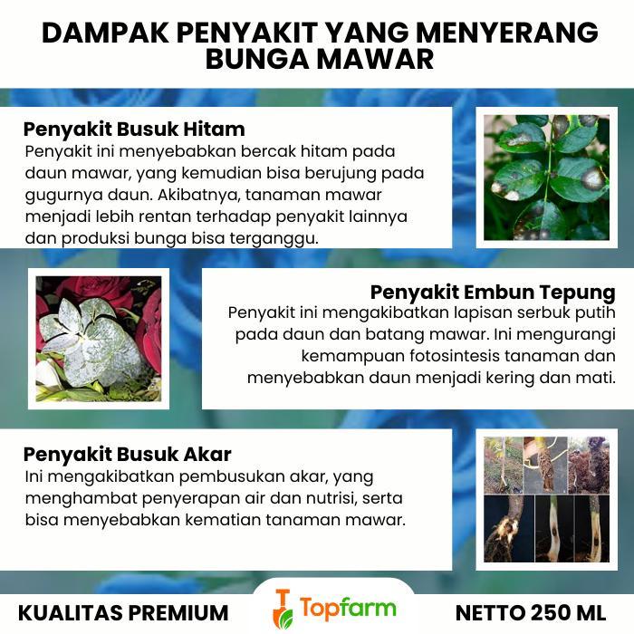 Obat Hama Tanaman Mawar / Obat Semprot Hama Bunga Hias / Insektisida Khusus Tanaman Hias / Pestisida