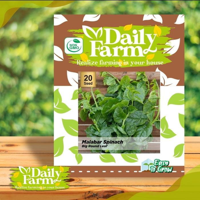 Benih Sayur Bayam Malabar / Bayam Binahong / Malabar Spinach Big Round Leaf / Bayam Malabar Hijau