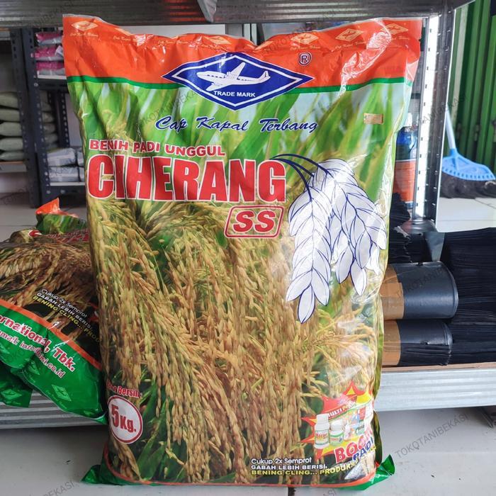 Bibit Benih Padi Unggul Ciherang Ss Cap Kapal Terbang Bisi Berat Bersih 5Kg #Gratisongkir