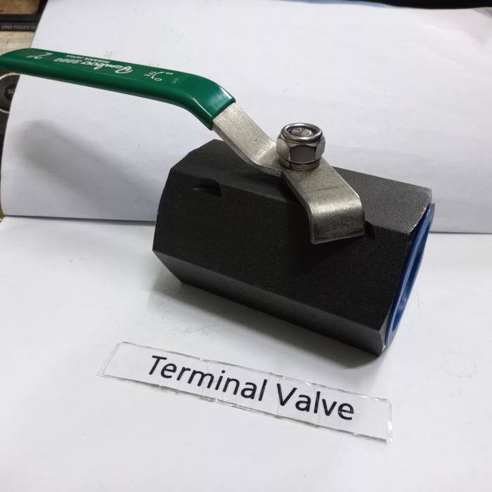 Ball Valve Bamboo 2"/Ball Valve Carbon Bamboo 2"/Ball Valve 2000Psi 2"