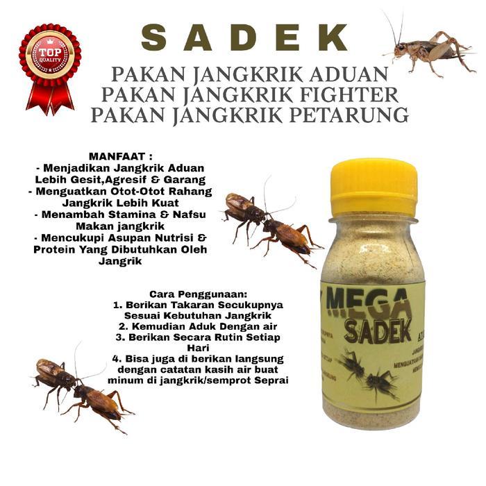 Promo Sadek Jangkrik Pakan Jangkrik Aduan Menguatkan Otot Rahang Dan Otot Kaki Pada Jangkrik