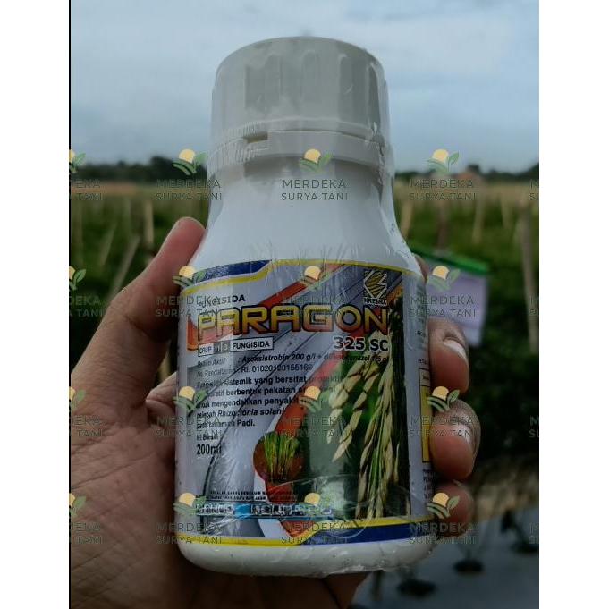 [Fungisida] Paragon 325 SC Fungisida Sistemik & Protektif untuk Padi (200ml)