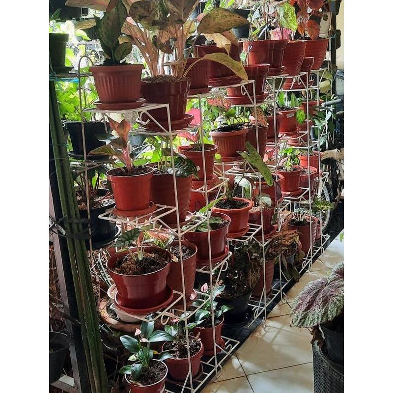 Rak Bunga 12 Susun / Rak Pot Bunga Besi / Rak Bunga Minimalis / Standing Pot Isi 12 Pot