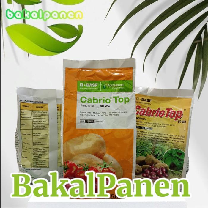 ` fungisida obat jamur tanaman cabrio top BASF pada tanaman cabai,semangka,melon