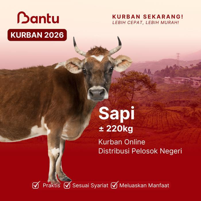 BantuKurban Kurban Sapi 220kg