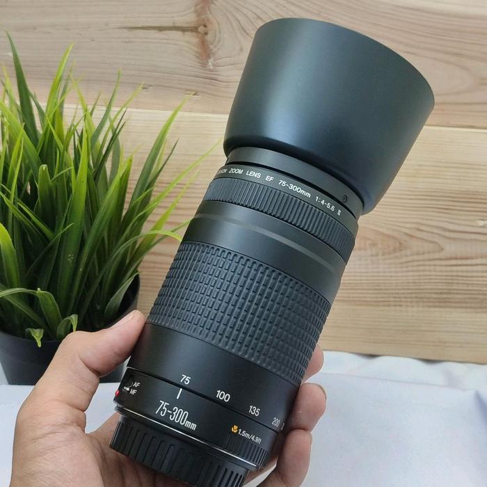 Canon 75-300mm lensa tele 75-300