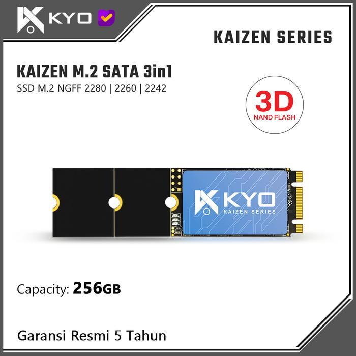 TERLARIS SSD KYO KAIZEN M.2 SATA 256GB 2242 2260 2280 SSD M2 SATA