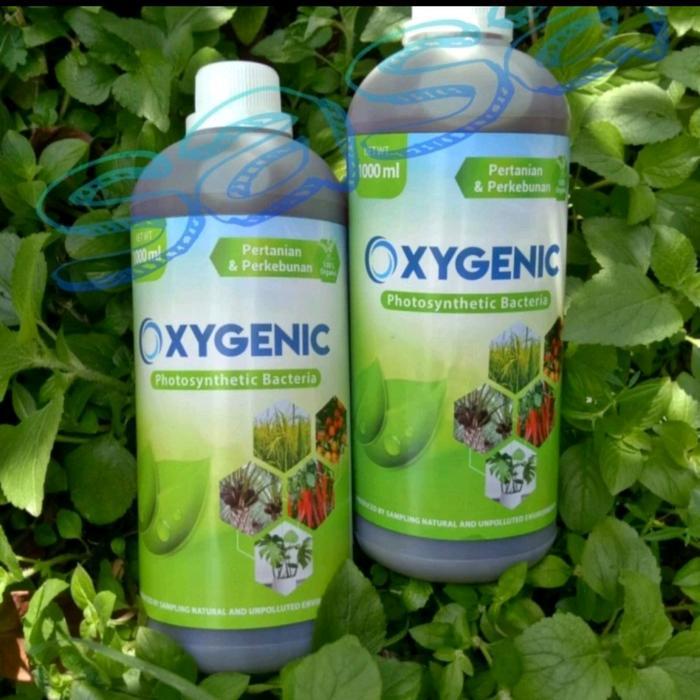 BISA COD PSB Oxygenic Bakteri Fotosintesis pupuk cair tanaman 1liter
