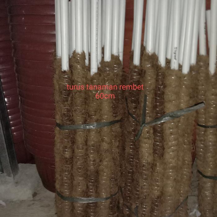 Penyangga Tanaman Rambat Alat Perkebunan Penopang Tumbuhan Merambat