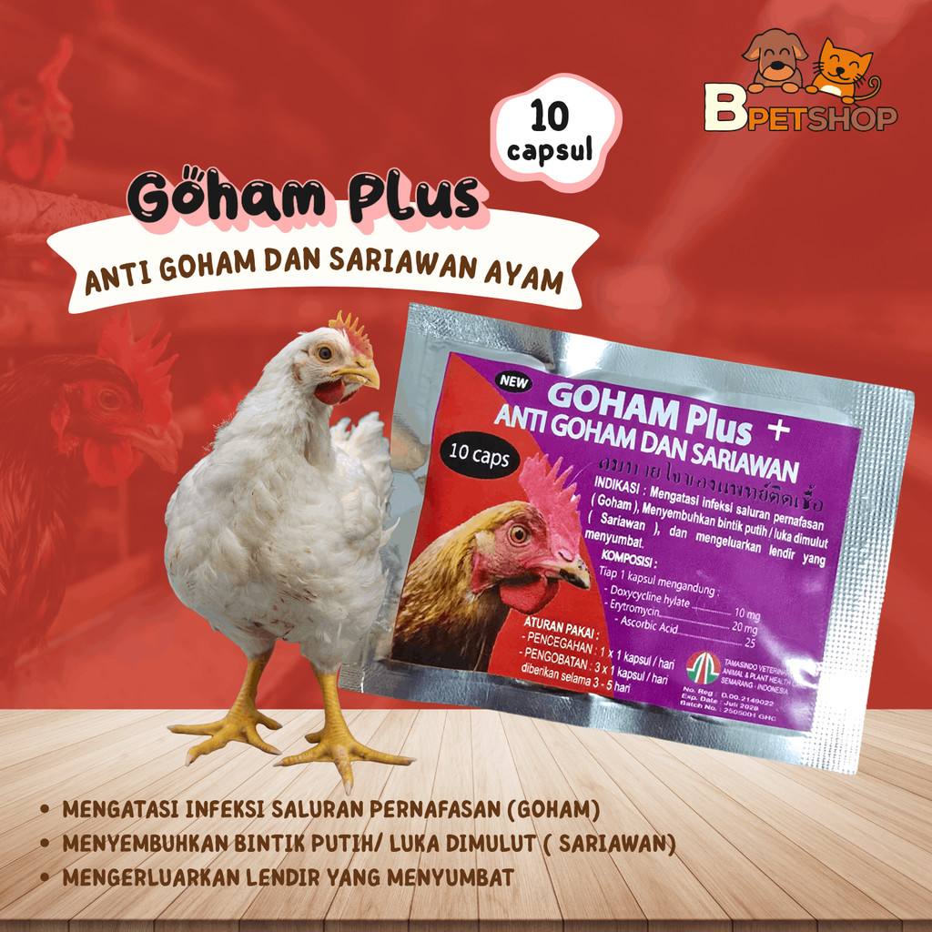Goham Plus - 10 Capsul - Anti Goham dan Sariawan Ayam
