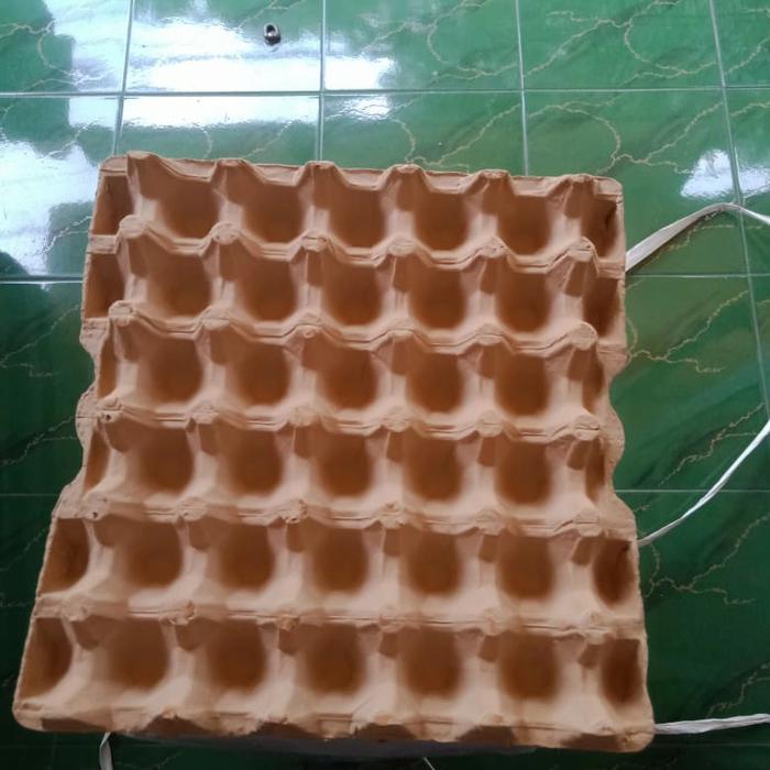 Egg Tray Karton Ayam Coklat Terlaris